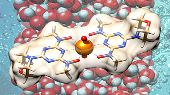 The artificial siderophore enhances the binding of uranium from seawater. Source: Alexander Ivanov/Oak Ridge National Laboratory