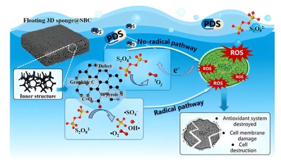Graphical abstract. Source: ACS ES&T Water (2023). DOI: 10.1021/acsestwater.3c00202