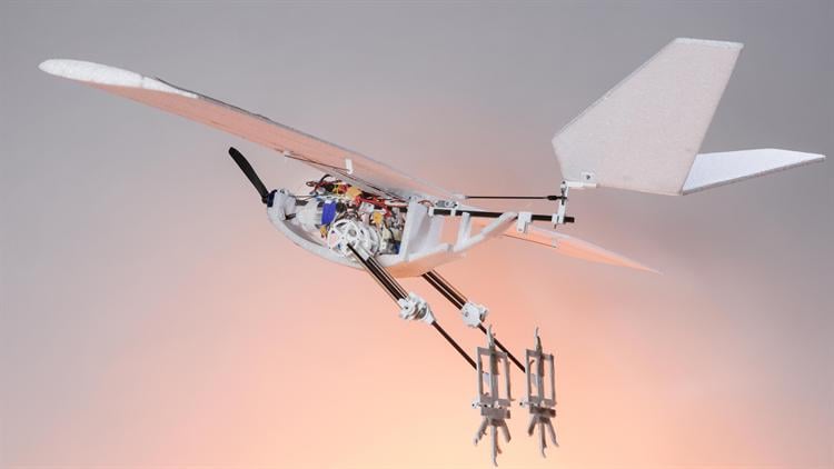 Buzz off: Flapping wing drones for niche and stealthy airborne applications