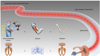 New light-controlled microgripper delivers both accuracy and force