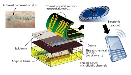 Threads penetrate multiple layers of tissue to sample interstitial fluid and direct it to sensing threads that collect data, such as pH and glucose levels. Image source: Tufts University School of Engineering