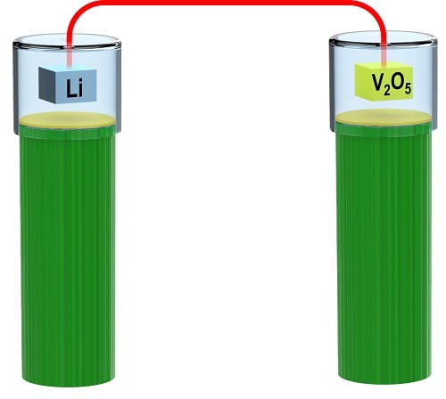 A rendition of a possible grass battery. Image credit: University of Maryland