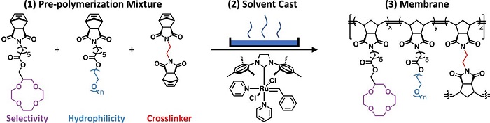 Overview of the materials and solvent casting process used to create 12C4-containing polynorbornene membranes. Source: Samuel J. Warnock et al.