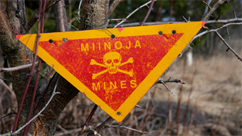 Researchers develop new technique for detecting plastic landmines