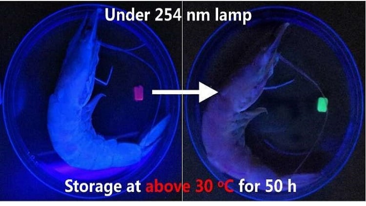 Artificial “chameleon skin”  detects seafood spoilage with color change