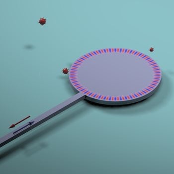The end-fire injection technique uses a waveguide directly connected to the edge of the microdisk. Image Credit: Qinghai Song, Harbin Institute of Technology in China