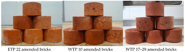 Samples of clay-biosolids bricks. Source: RMIT University