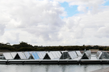 Infratech Industries has built a field of solar panels on top of a wastewater pond in Jamestown. Source: ABC news, Image credit: Mike Sexton