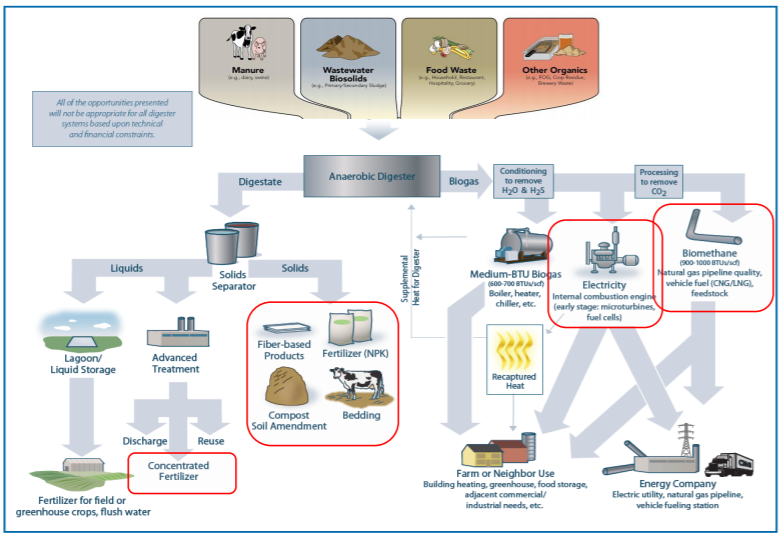Benefits of industrial wastewater treatment using direct steam