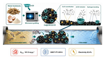 Waste cotton stalks and eggshells turned into reusable biochar for wastewater antibiotic removal